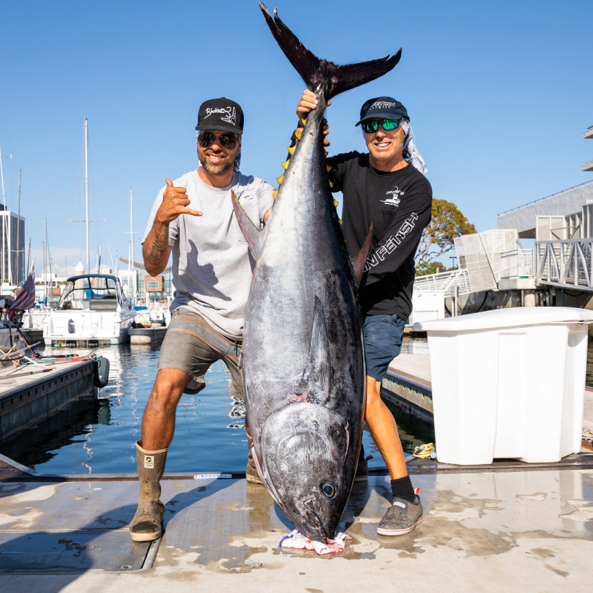 Fin Fetish BFT 9 10 21-2